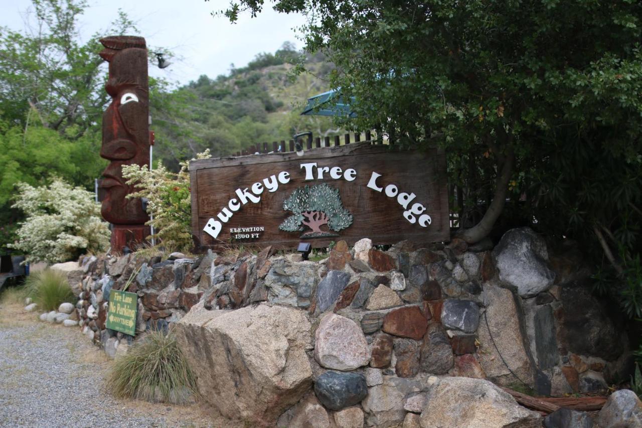 Buckeye Tree Lodge Three Rivers Εξωτερικό φωτογραφία