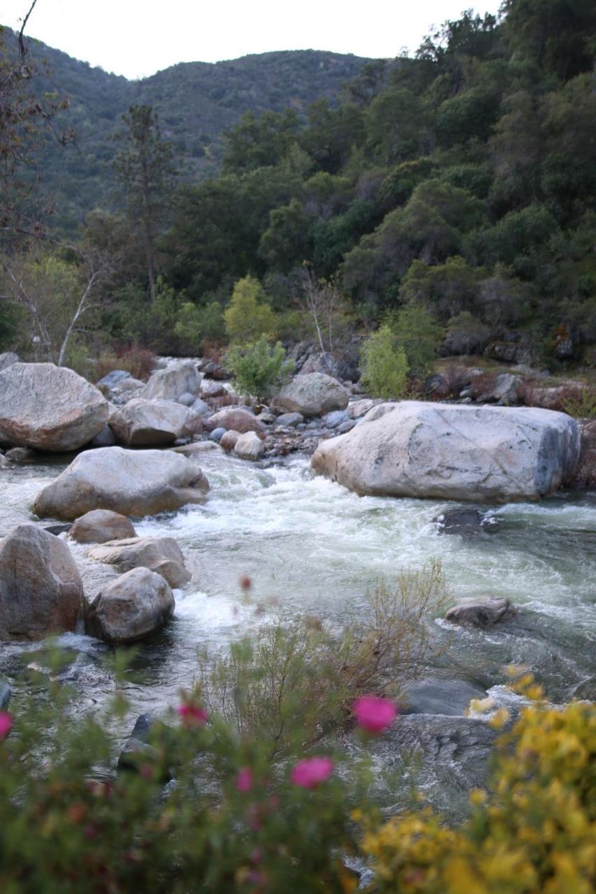 Buckeye Tree Lodge Three Rivers Εξωτερικό φωτογραφία